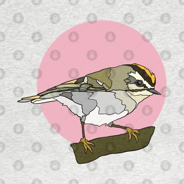 Golden Crowned Kinglet by New World Aster 